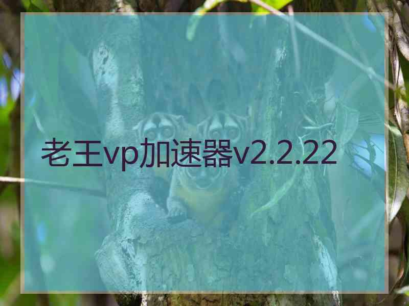 老王vp加速器v2.2.22