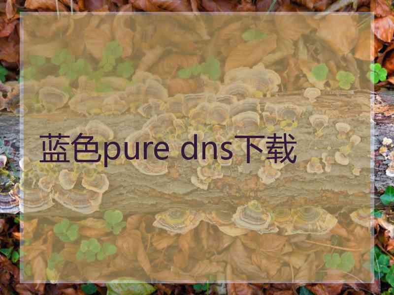 蓝色pure dns下载